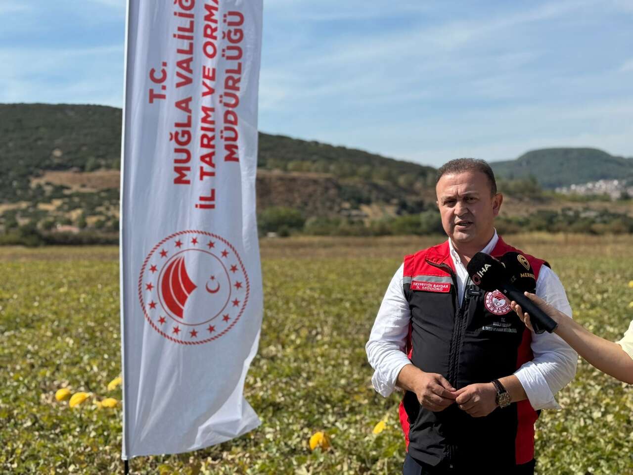 Muğla'nın Yayla Kavunu Hasatla Taçlandı 6